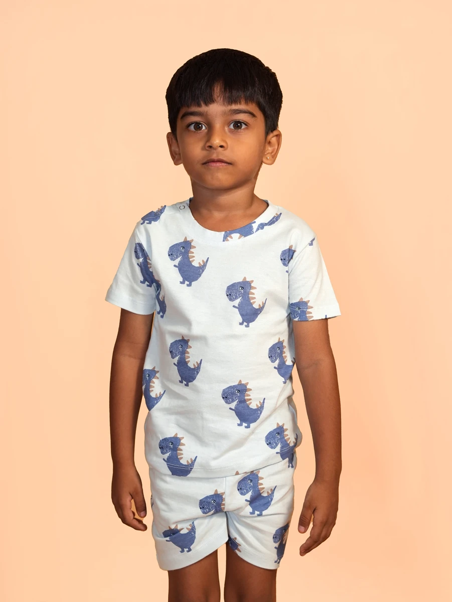 Blue Dinosaur Printed Co-ord Set